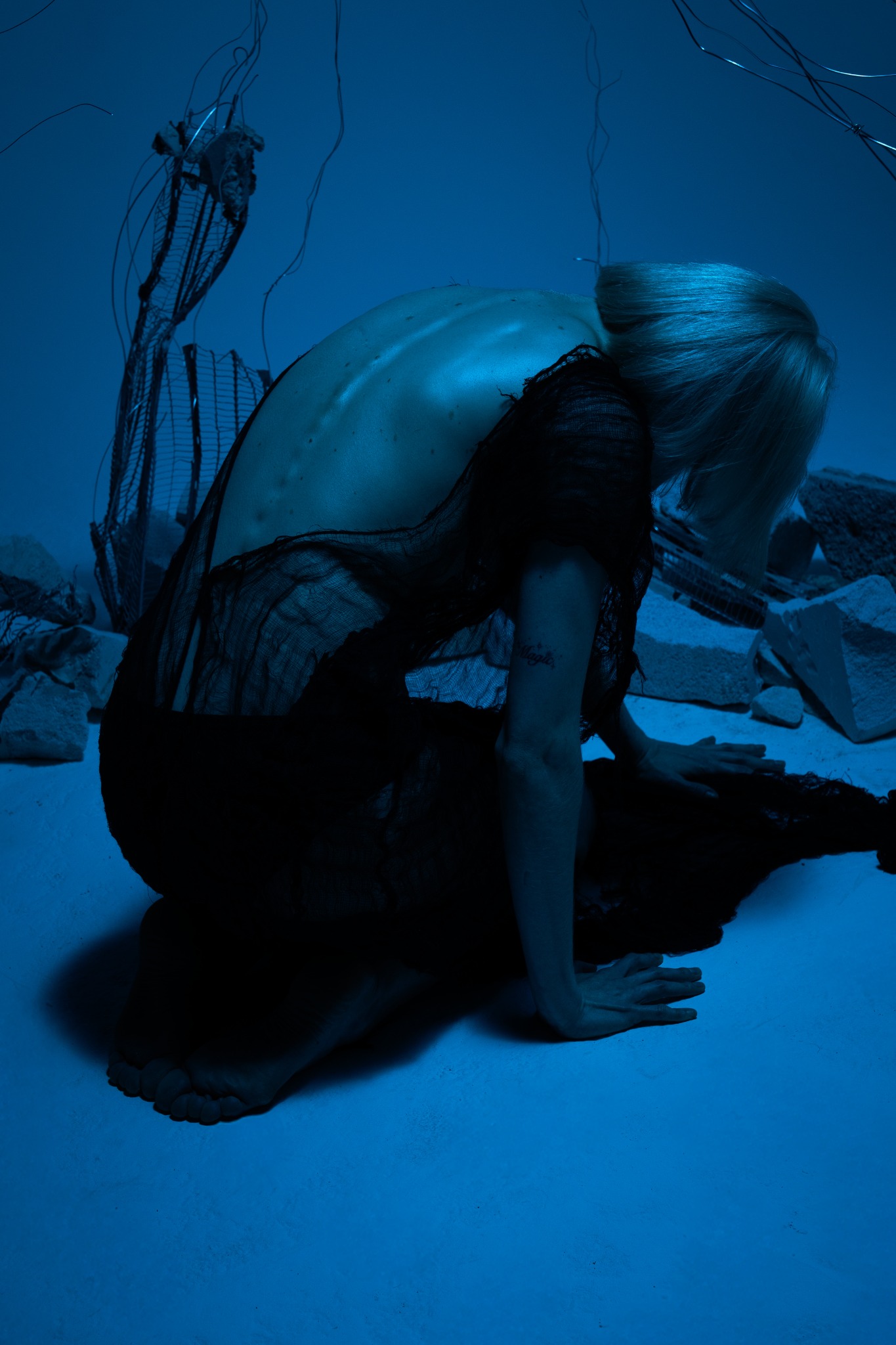 Delicate Chaos visual portrait in the blue set